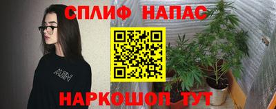 крисы Бийск