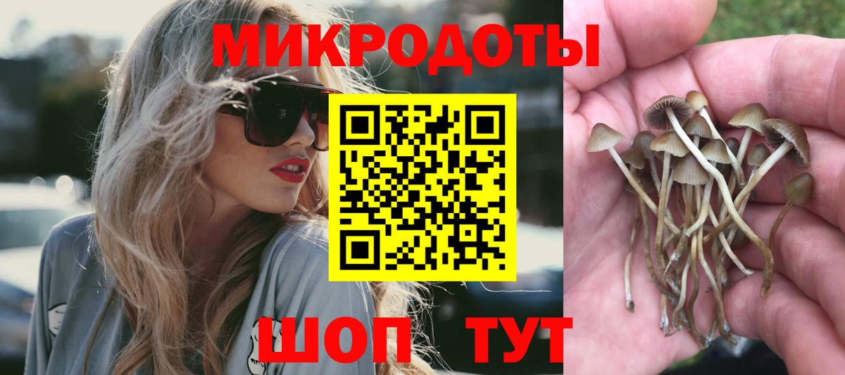 Галлюциногенные грибы ЛСД Бугульма